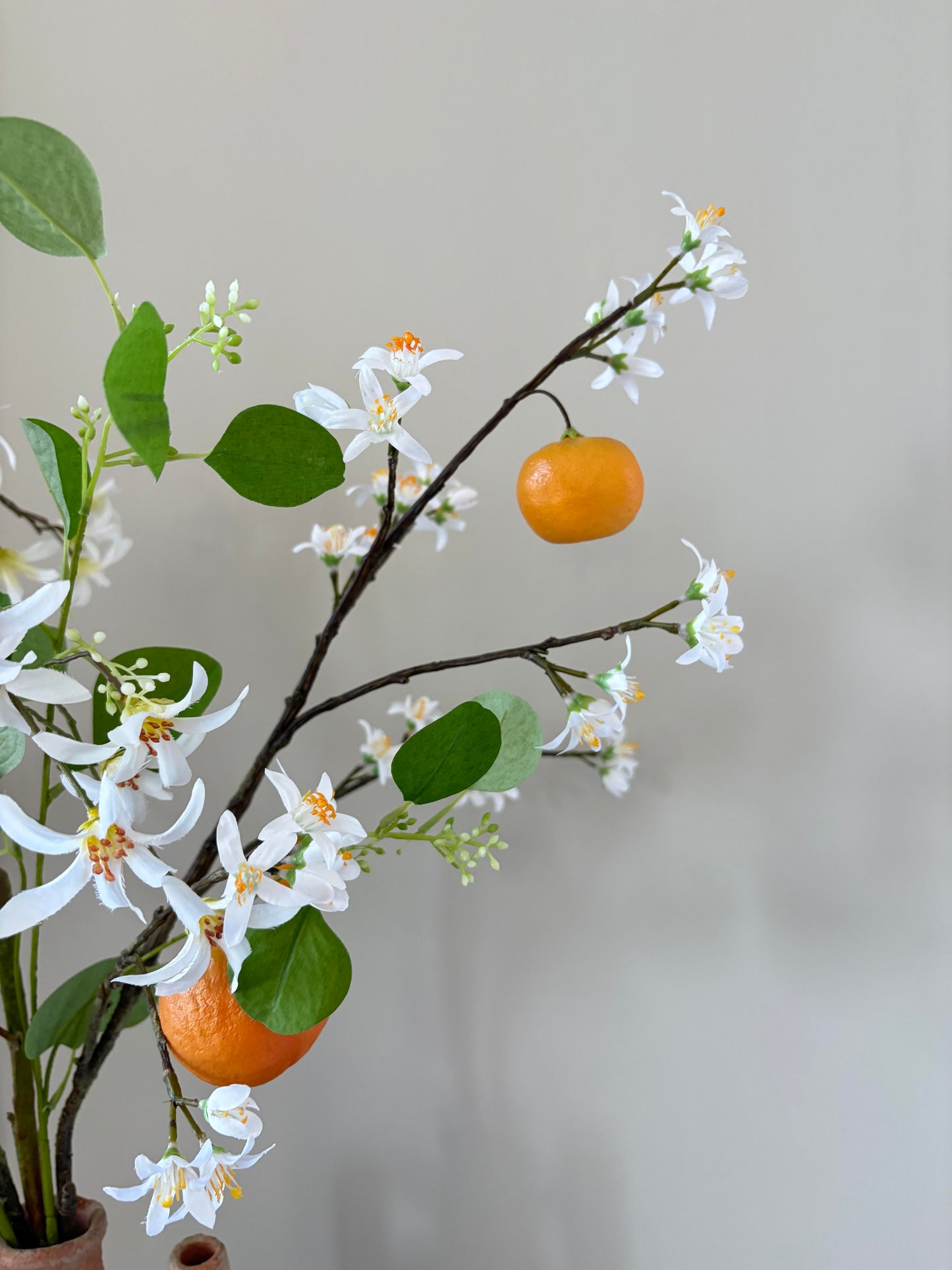 Dancing Tangerines