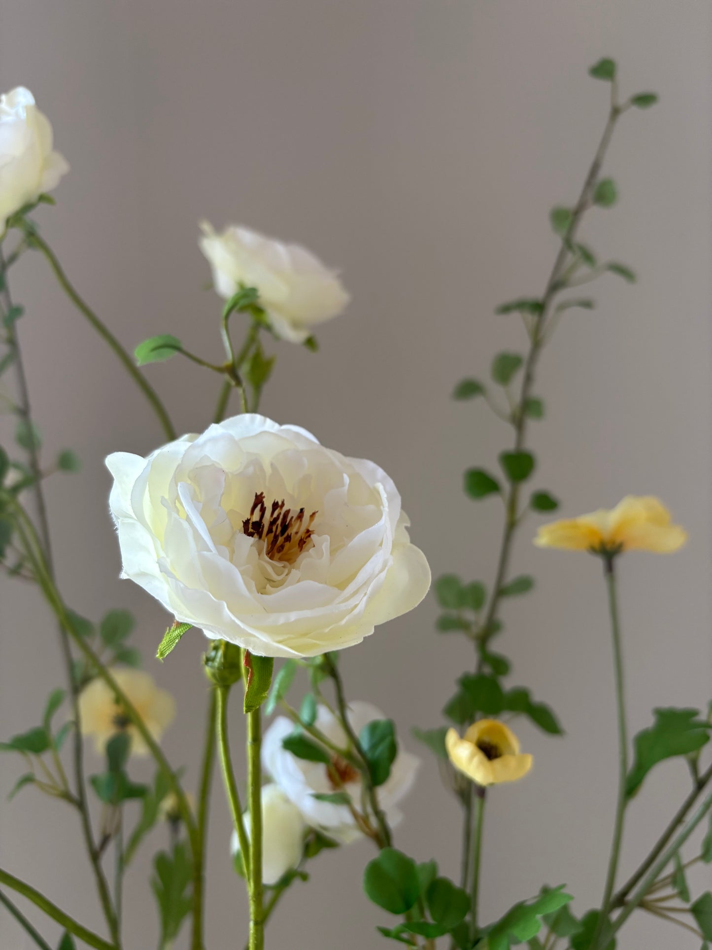 La vie en rose