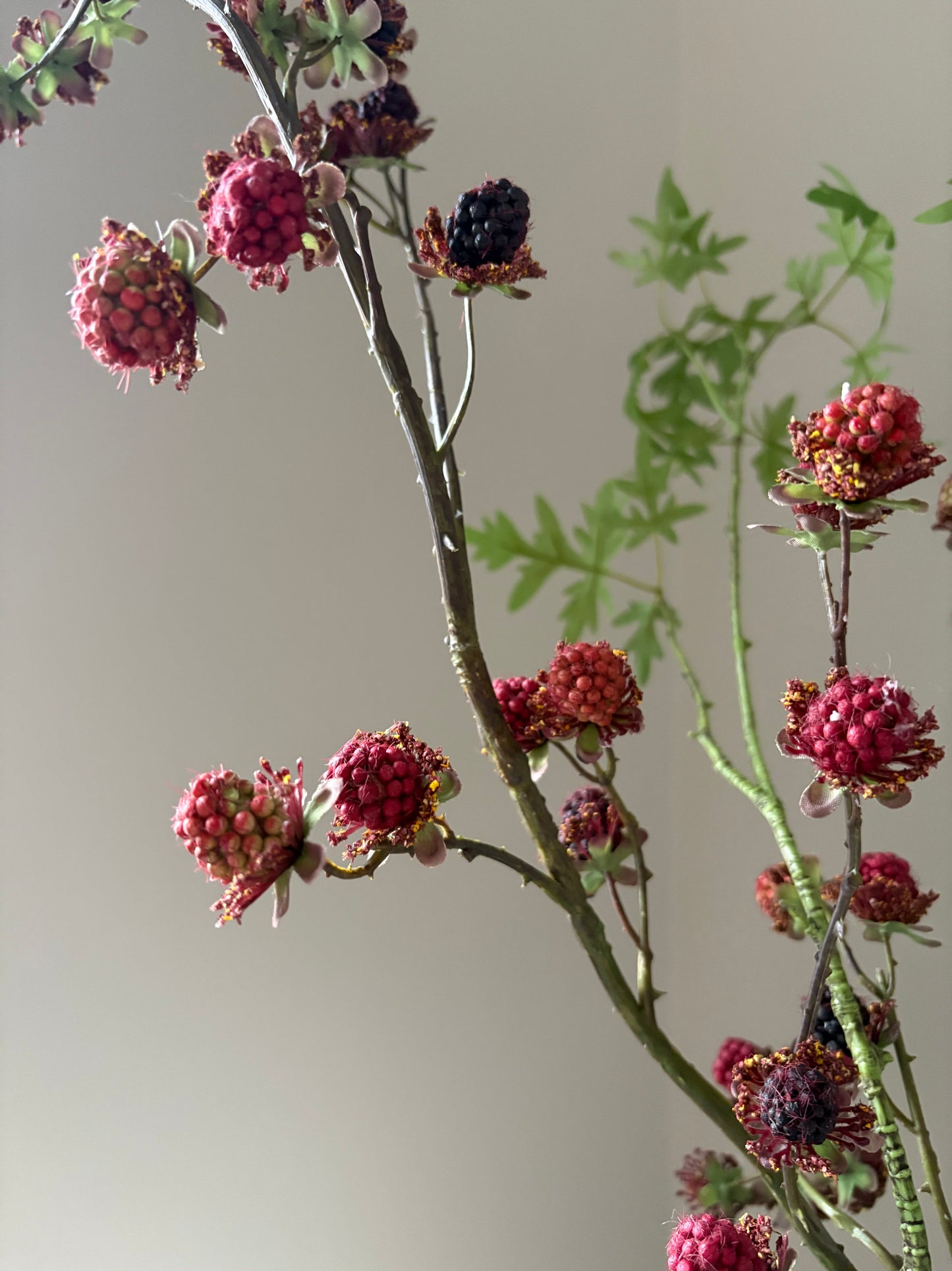 Blackberry Fields Forever