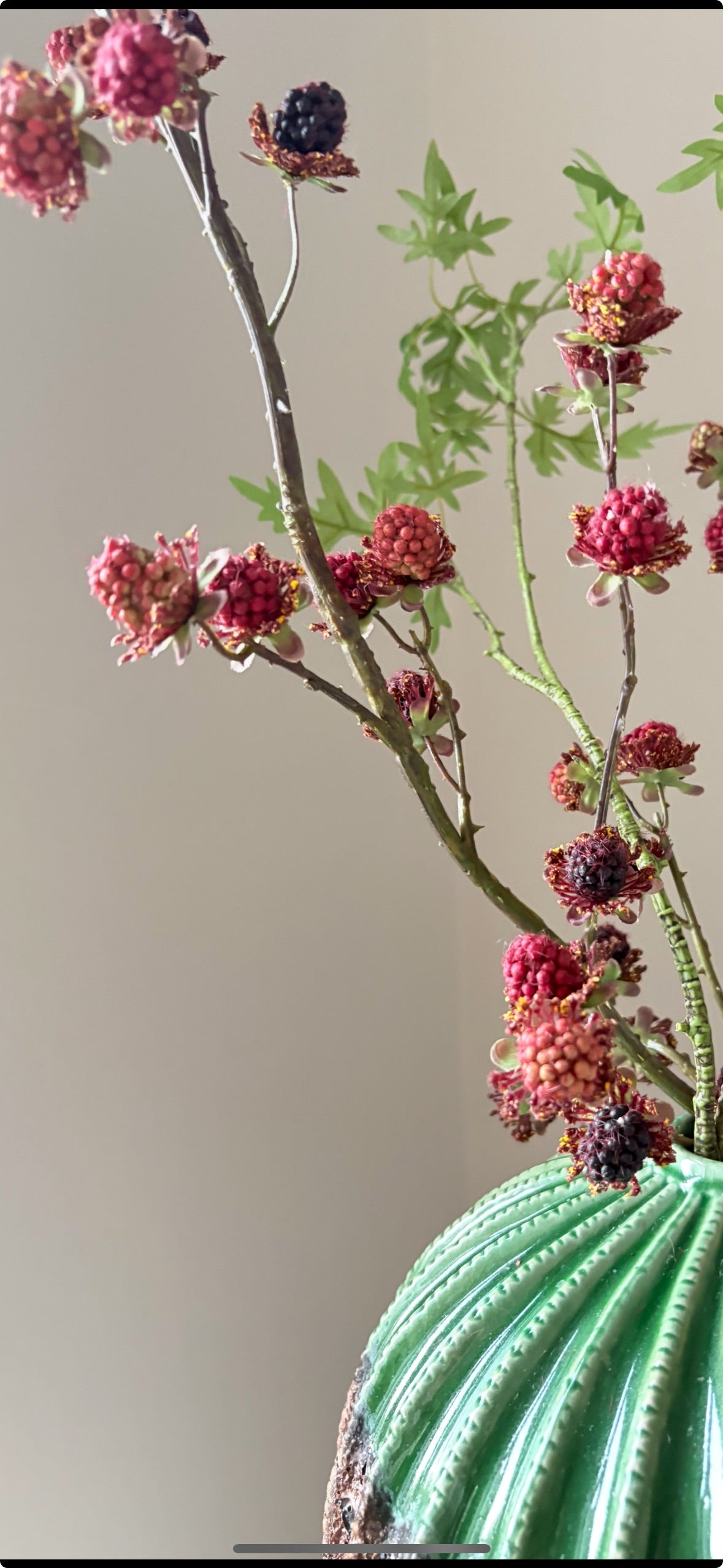 Blackberry Fields Forever