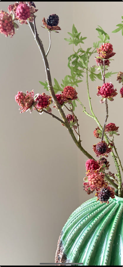 Blackberry Fields Forever